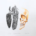 Calavera y maíz 4