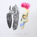 Calavera y maíz 19