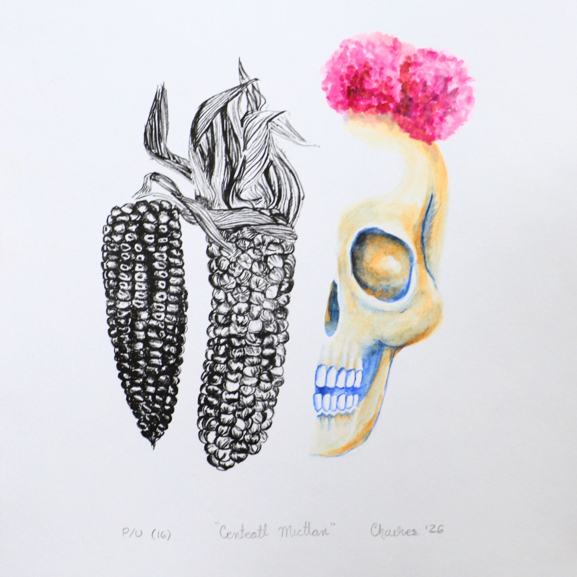 Calavera y maíz 19
