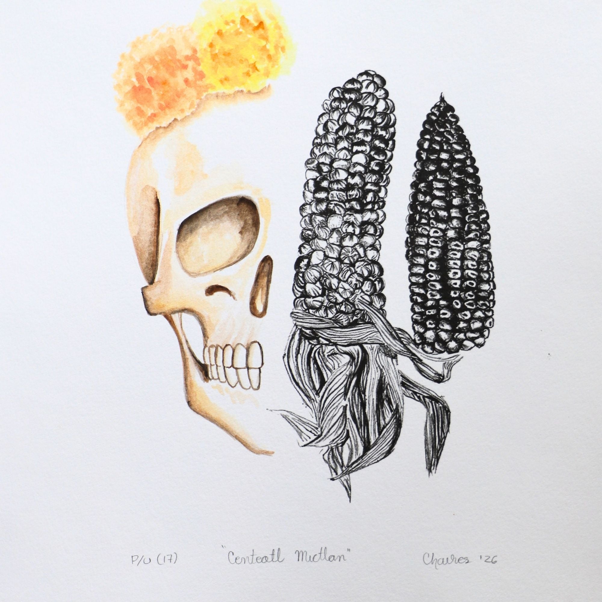 Calavera y maíz 17