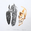 Calavera y maíz 5