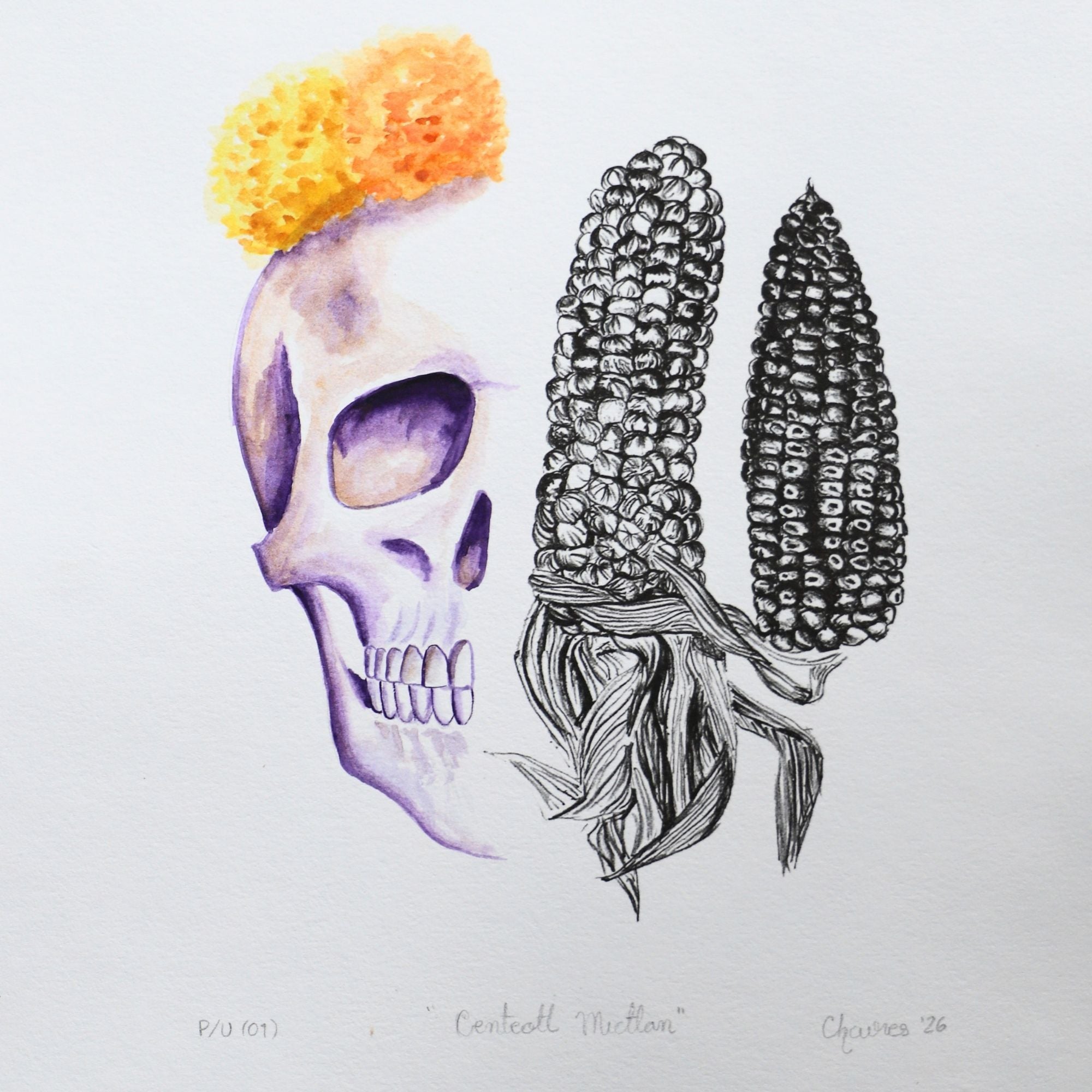 Calavera y maíz 12