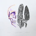 Calavera y maíz 6