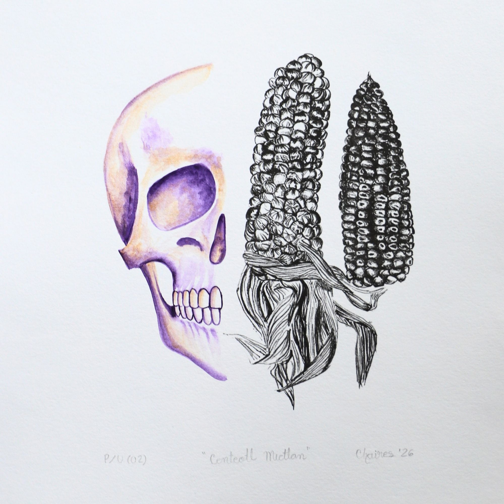 Calavera y maíz 6