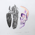 Calavera y maíz 8