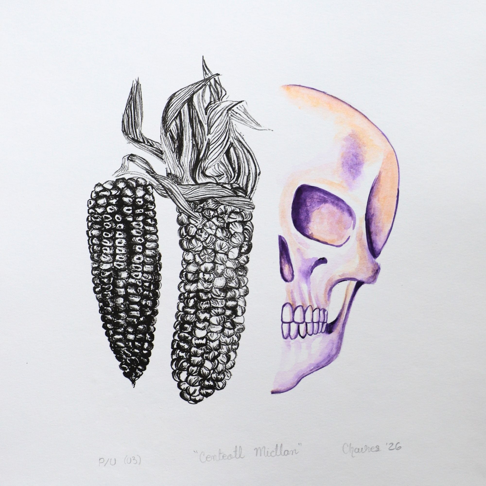 Calavera y maíz 8