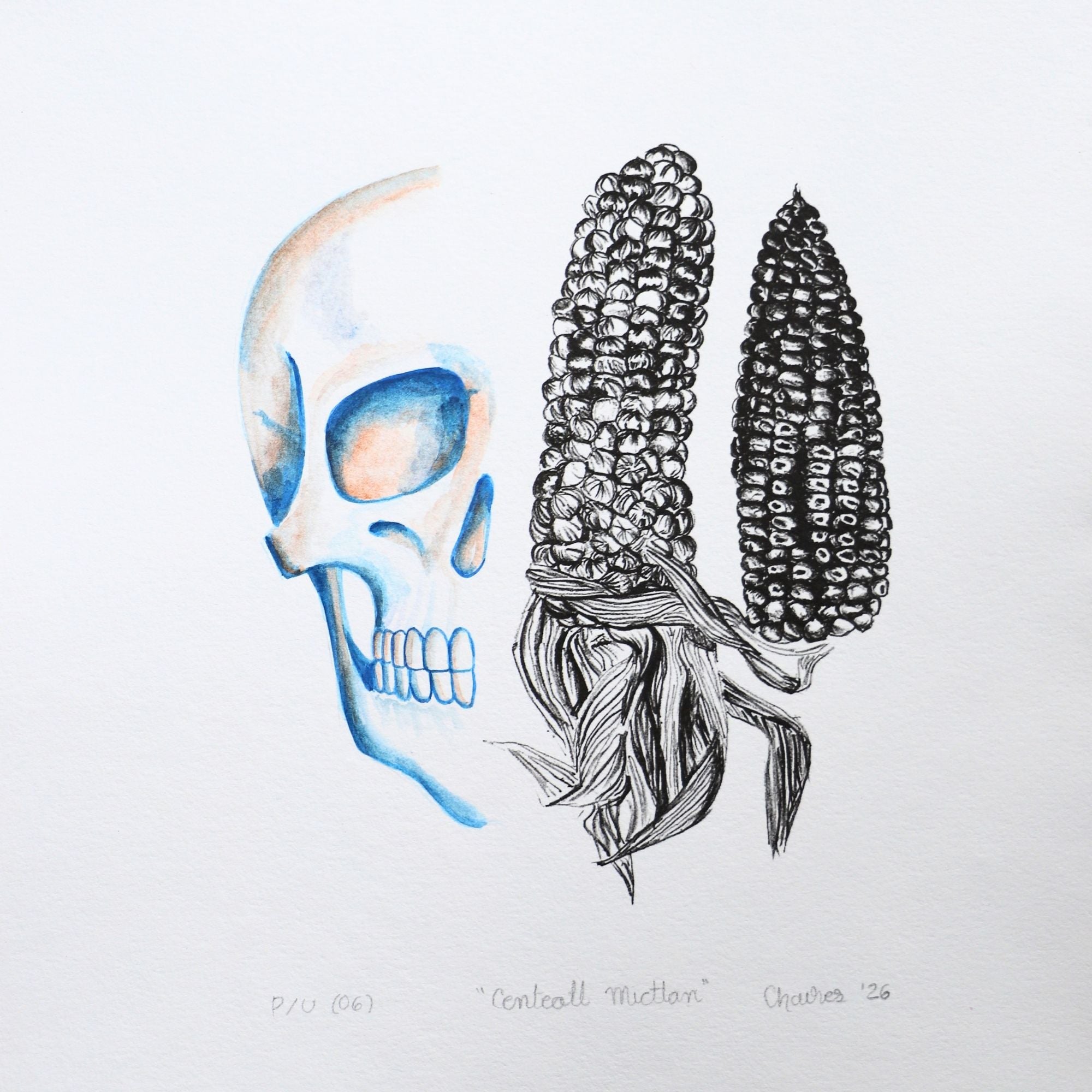 Calavera y maíz 1