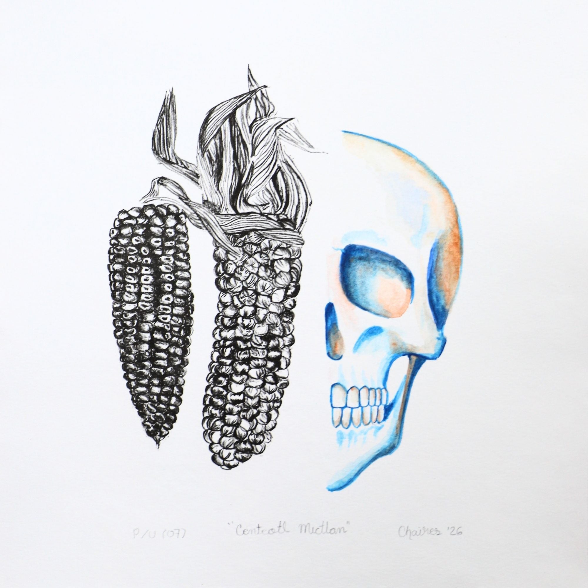 Calavera y maíz 10